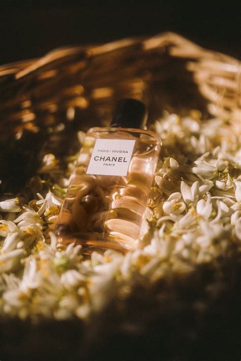 la fleur d'oranger chanel|Chanel met la fleur d'oranger à l'honneur au coeur de .